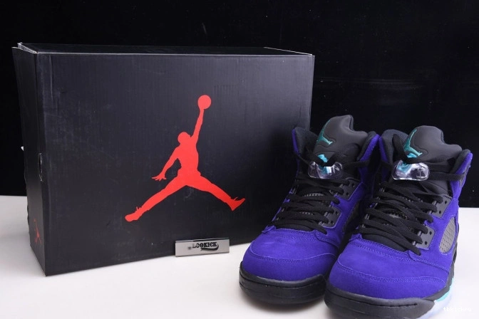 Reps TBkick Jordan Alternate 136027-500 Retro 5 Grape Air 0814